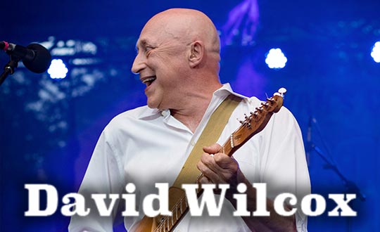 David Wilcox